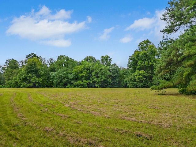 TBD Quail Valley Rd, Tallahassee, FL 32309 - photo 4