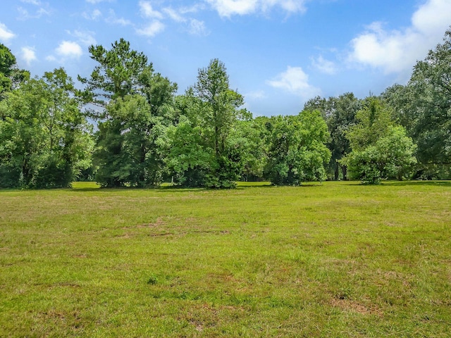 TBD Quail Valley Rd, Tallahassee, FL 32309 - photo 11