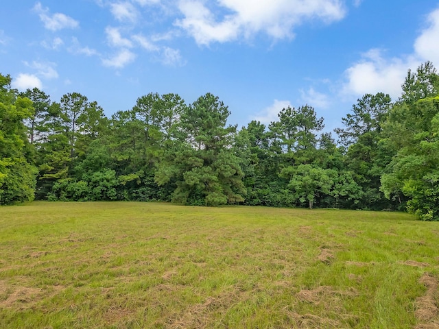 TBD Quail Valley Rd, Tallahassee, FL 32309 - photo 5