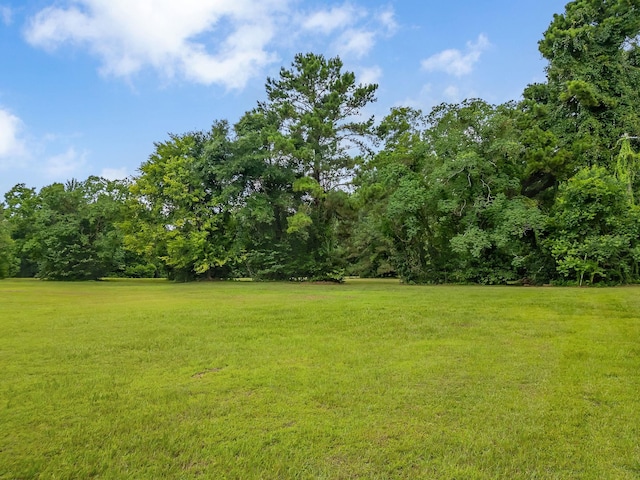 TBD Quail Valley Rd, Tallahassee, FL 32309 - photo 9