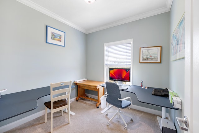 1548 Shell Point Rd, Crawfordville, FL 32327 - carpeted office space with crown molding and baseboards