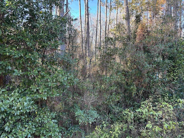 XXXX Box Wood Court, Tallahassee FL, 32303 land for sale