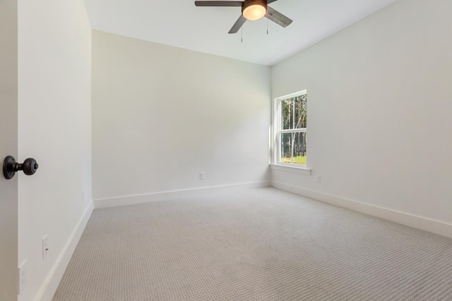 17 Old Tung Grove Rd, Monticello, FL 32344 - photo 21