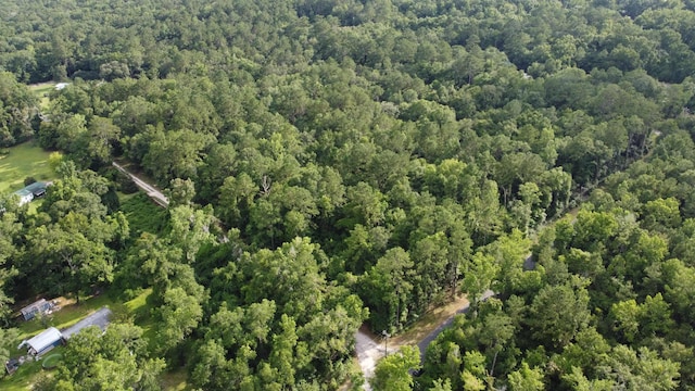 XX Staten Rd, Crawfordville, FL 32327