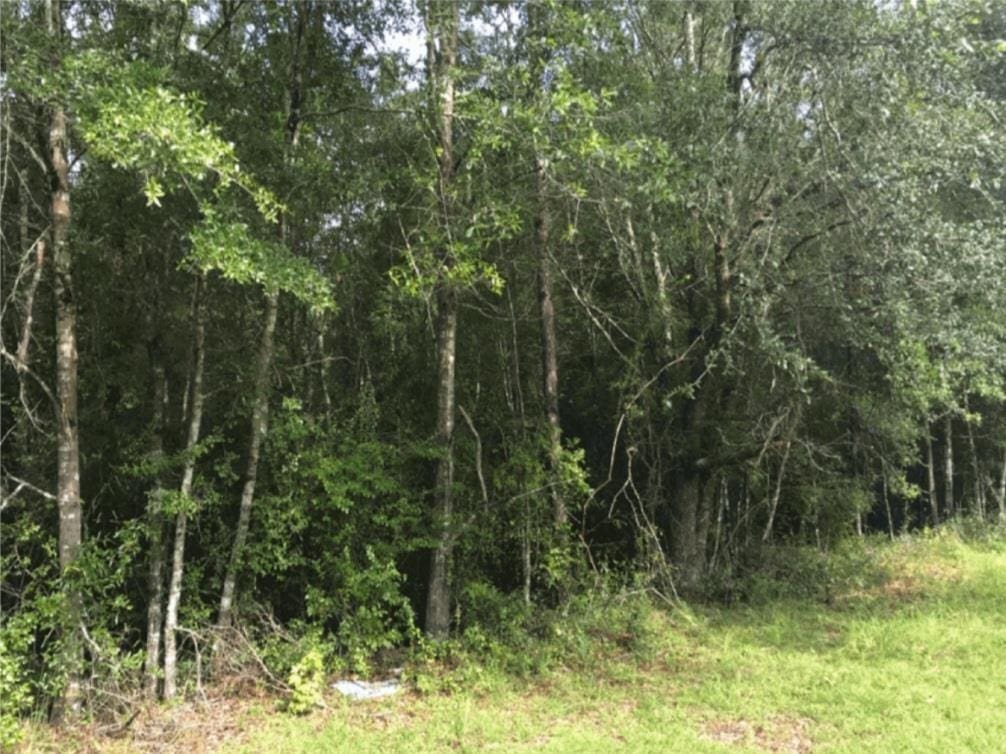 33 Kameron Dr, Monticello, FL 32344 - photo 2