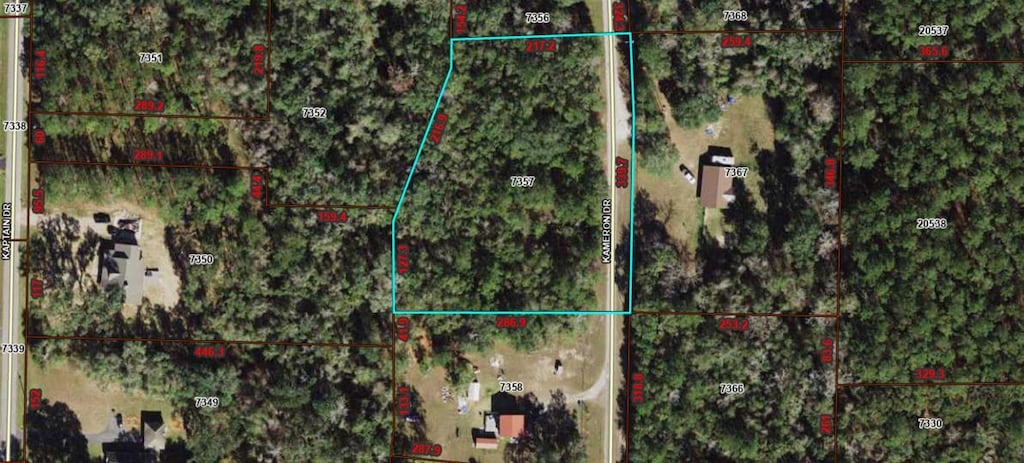33 Kameron Dr, Monticello, FL 32344 - photo 3