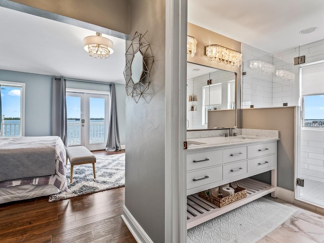 interior space with a shower with door, french doors, a healthy amount of sunlight, and vanity