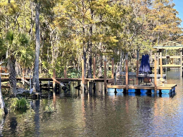 dock area with a water view