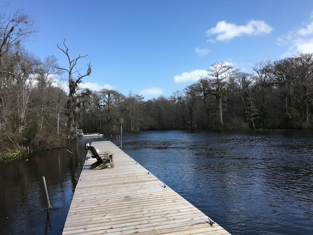 dock area with a water view