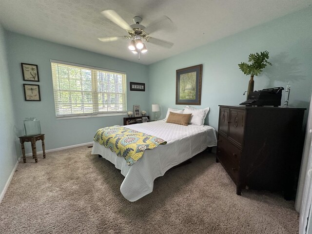 3246 Robinhood Rd, Tallahassee, FL 32312 - photo 22
