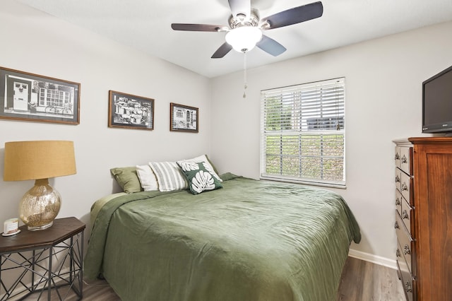 1816 Aaron Rd, Tallahassee, FL 32303 - bedroom featuring wood finished floors and ceiling fan
