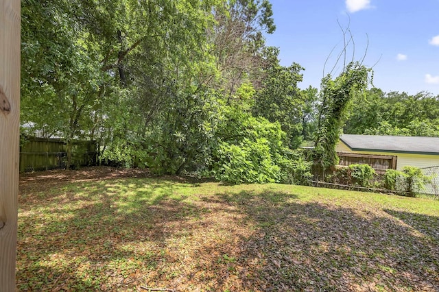 1816 Aaron Rd, Tallahassee, FL 32303 - view of yard