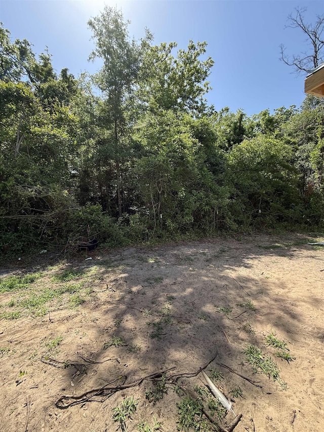 6 Graham Trl, Crawfordville, FL 32327 - photo 8