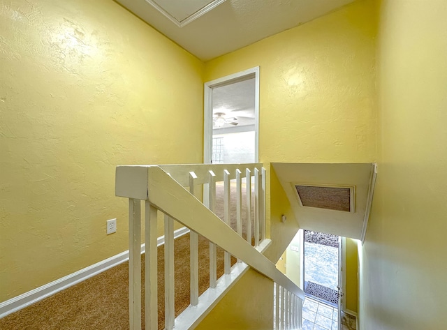 staircase with carpet