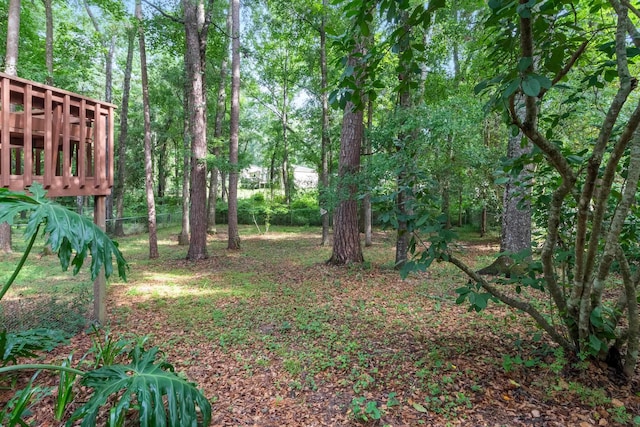 3158 S Fulmer Cir, Tallahassee, FL 32303 - photo 34