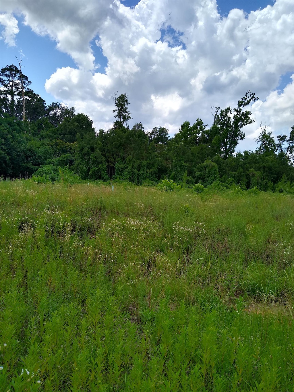 113-121 Bass St, Tallahassee, FL 32301