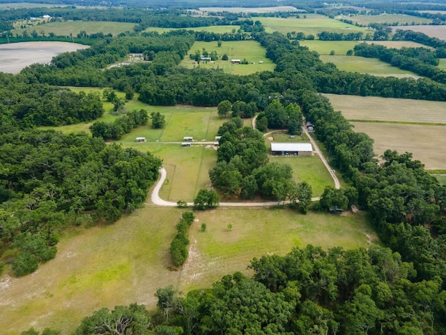438 NE English Ivy Trl, Pinetta Madison County, FL 32350 - photo 25