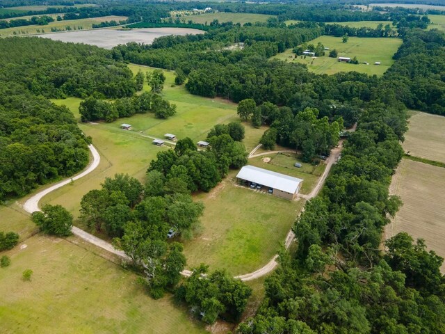438 NE English Ivy Trl, Pinetta Madison County, FL 32350 - photo 6
