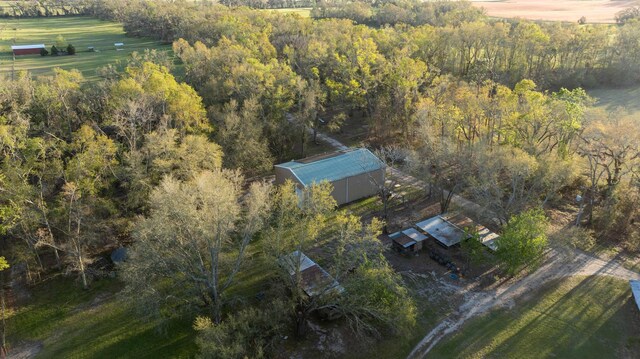 438 NE English Ivy Trl, Pinetta Madison County, FL 32350 - photo 34