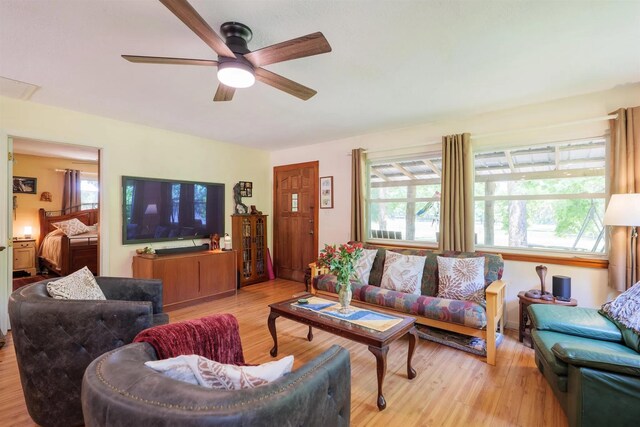 438 NE English Ivy Trl, Pinetta Madison County, FL 32350 - photo 41