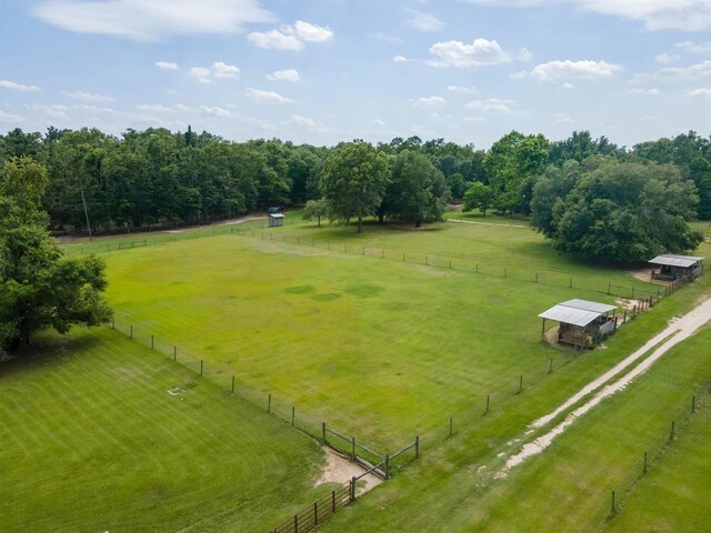 438 NE English Ivy Trl, Pinetta Madison County, FL 32350 - photo 38