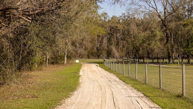 438 NE English Ivy Trl, Pinetta Madison County, FL 32350 - photo 29