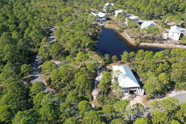 147 Lightning Bug Ln, Saint Teresa, FL 32358 - photo 11