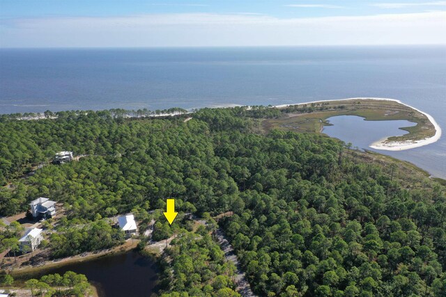 147 Lightning Bug Ln, Saint Teresa, FL 32358 - photo 27