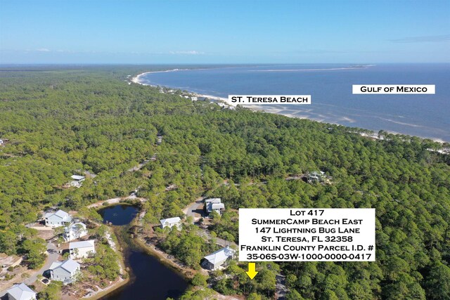 147 Lightning Bug Ln, Saint Teresa, FL 32358 - photo 19
