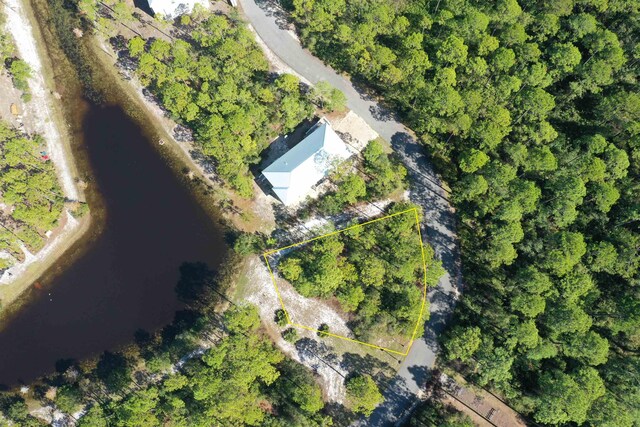 147 Lightning Bug Ln, Saint Teresa, FL 32358 - photo 17