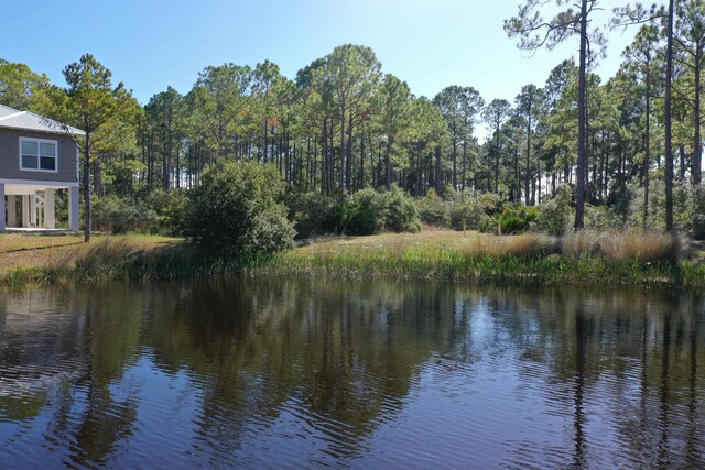 147 Lightning Bug Ln, Saint Teresa, FL 32358 - photo 32
