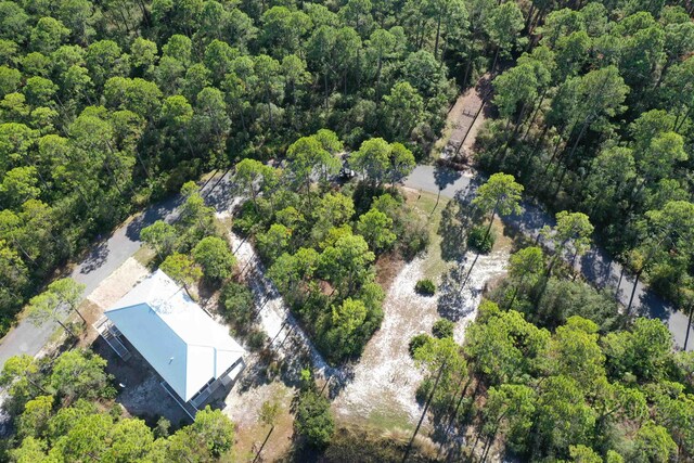 147 Lightning Bug Ln, Saint Teresa, FL 32358 - photo 29