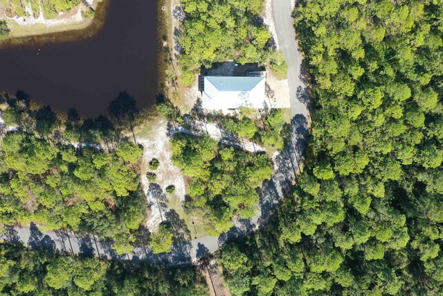 147 Lightning Bug Ln, Saint Teresa, FL 32358 - photo 16