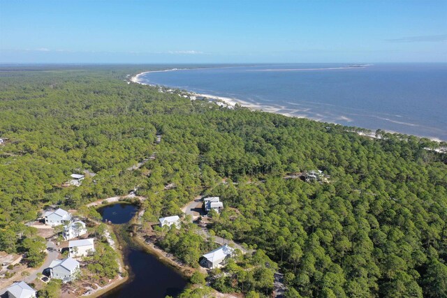 147 Lightning Bug Ln, Saint Teresa, FL 32358 - photo 20
