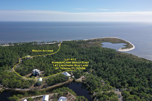147 Lightning Bug Ln, Saint Teresa, FL 32358 - photo 1