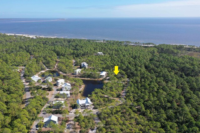 147 Lightning Bug Ln, Saint Teresa, FL 32358 - photo 25
