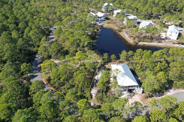 147 Lightning Bug Ln, Saint Teresa, FL 32358 - photo 10