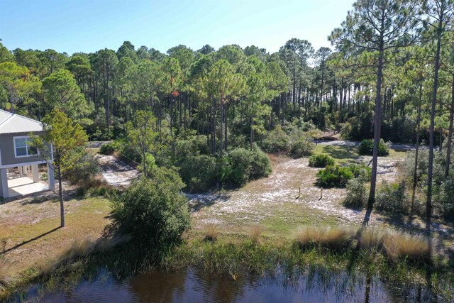 147 Lightning Bug Ln, Saint Teresa, FL 32358 - photo 31