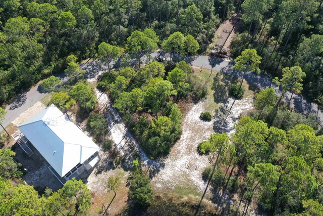 147 Lightning Bug Ln, Saint Teresa, FL 32358 - photo 30