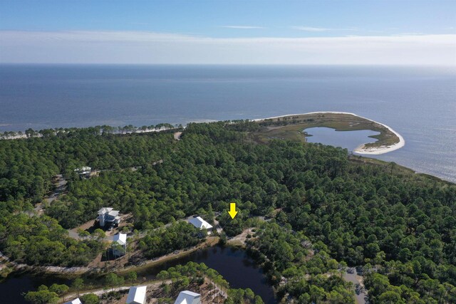 147 Lightning Bug Ln, Saint Teresa, FL 32358 - photo 2
