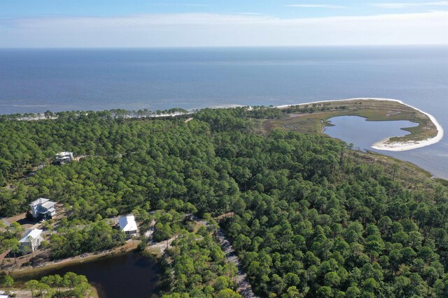 147 Lightning Bug Ln, Saint Teresa, FL 32358 - photo 28