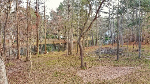 0 Moorhen Cir, Tallahassee, FL 32312 - photo 10