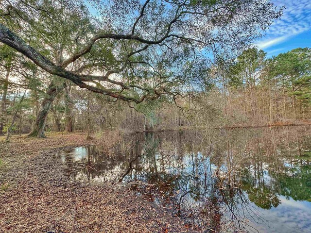 0 Moorhen Cir, Tallahassee, FL 32312 - photo 30