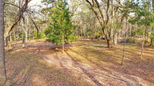 0 Moorhen Cir, Tallahassee, FL 32312 - photo 17