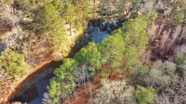 0 Moorhen Cir, Tallahassee, FL 32312 - photo 33