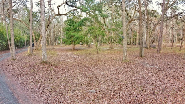 0 Moorhen Cir, Tallahassee, FL 32312 - photo 19