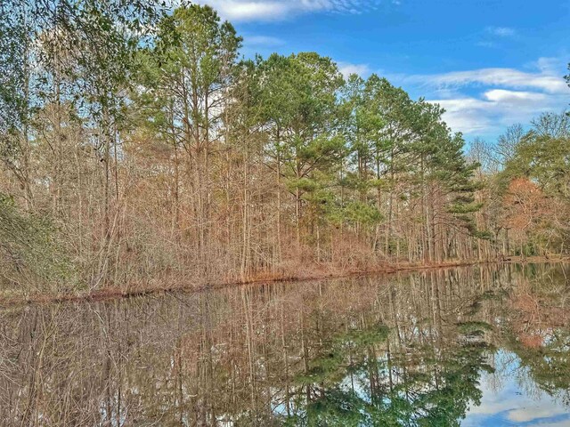 0 Moorhen Cir, Tallahassee, FL 32312 - photo 31