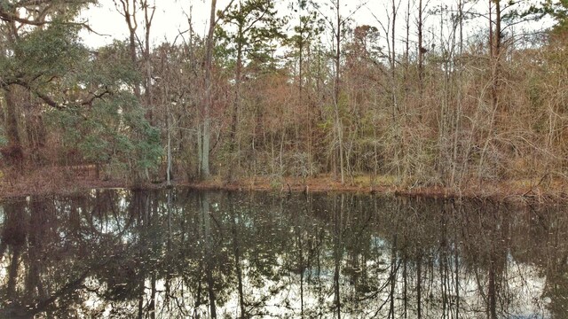 0 Moorhen Cir, Tallahassee, FL 32312 - photo 28
