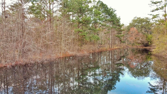 0 Moorhen Cir, Tallahassee, FL 32312 - photo 29