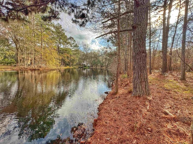 0 Moorhen Cir, Tallahassee, FL 32312 - photo 24